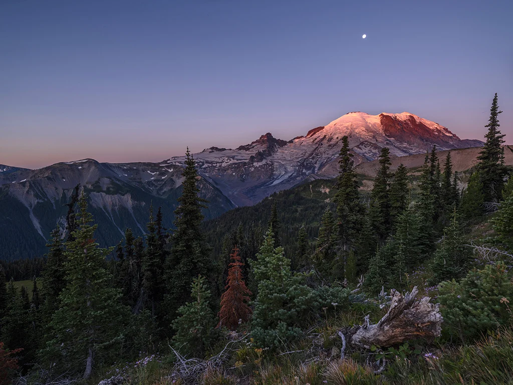 MTRainier